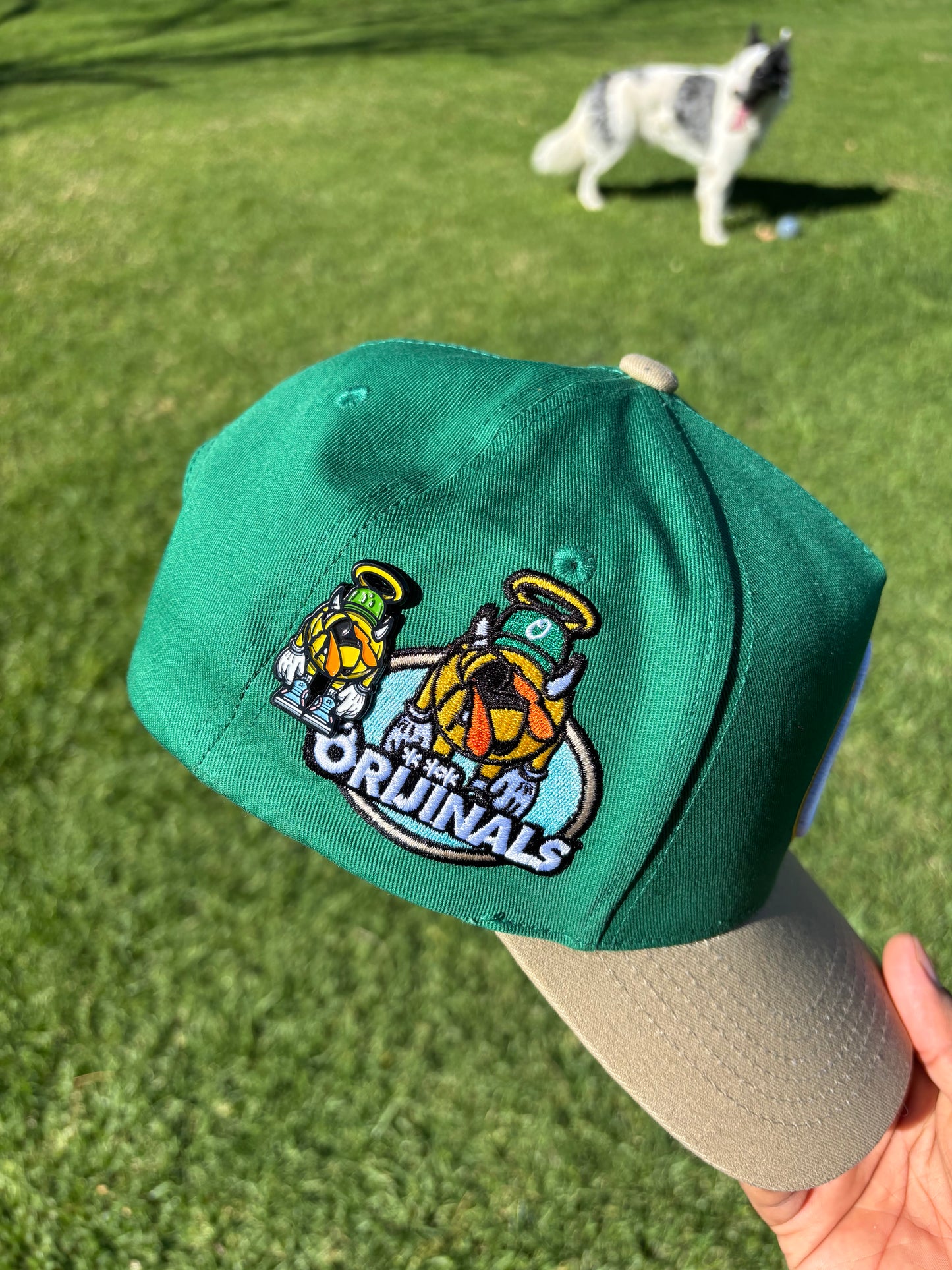“Bee at the Park” Green/Tan Snapback