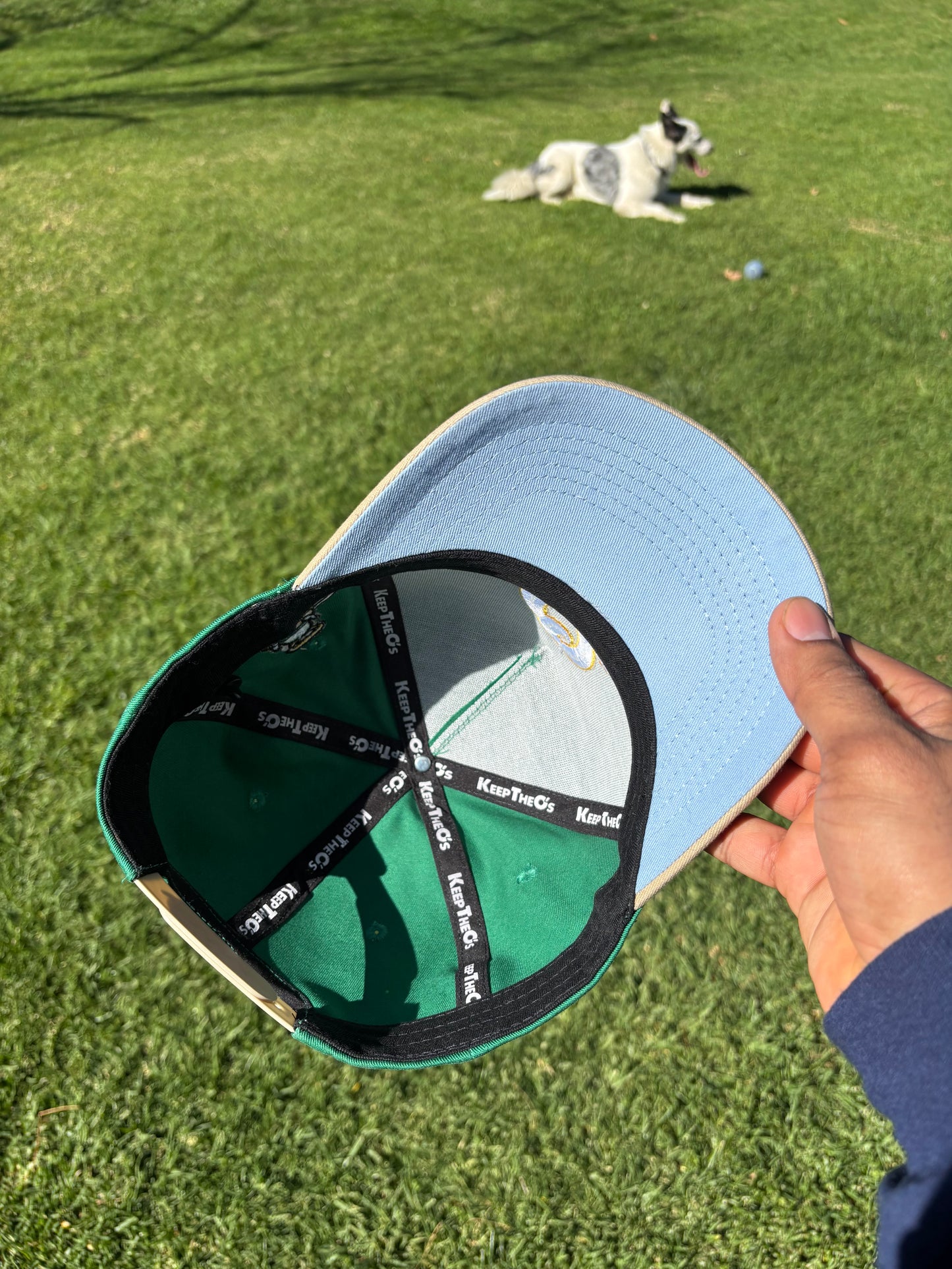 “Bee at the Park” Green/Tan Snapback