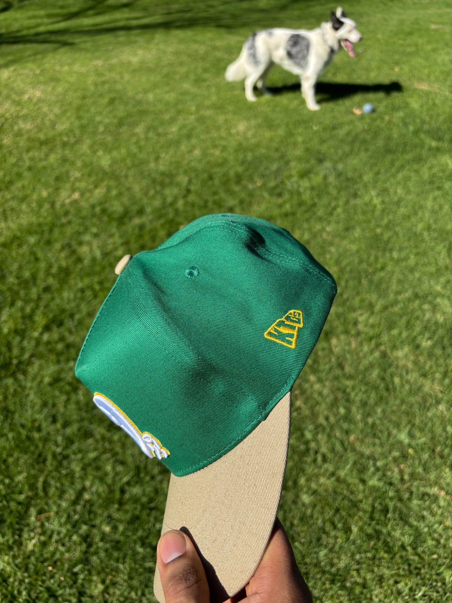 “Bee at the Park” Green/Tan Snapback